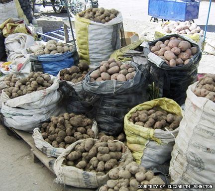 Some of the potato varieties available in the market in Puno, Peru.